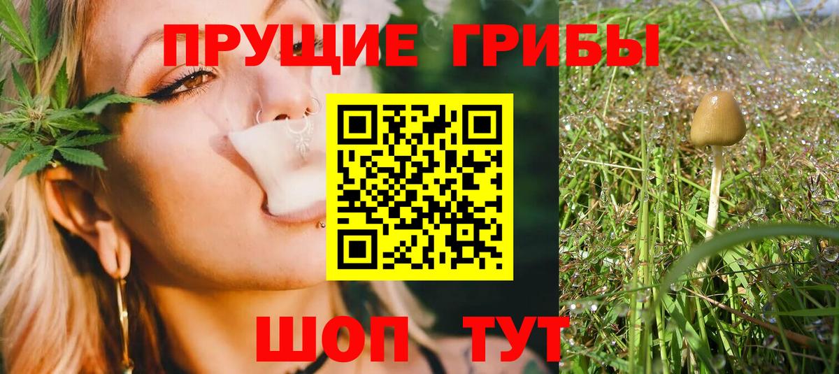 Псилоцибиновые грибы Psilocybe Лангепас
